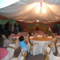 Canopy Aliaaliana Special Price