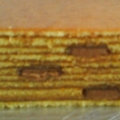 Zea Home Bakery