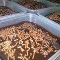 Little Amoi Bakery 'n' Creation