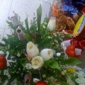 Cempakasari Flora