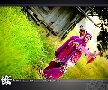 Newlyweds Photography
