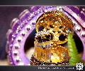 Newlyweds Photography