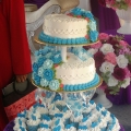 Aida Izati Homemade Cake (sa0266239-w)