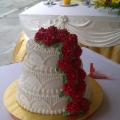 Aida Izati Homemade Cake (sa0266239-w)