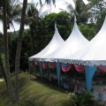 Saidina Excel Canopy