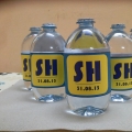 Projek S