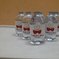 Projek S