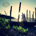 Aizuddin Idris Photography