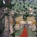 Ariff Weading Couture (bridal Gallery)