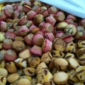 Chinta. Cookies
