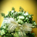 Floria Fresh Flower