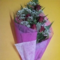 Floria Fresh Flower