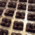Chocolista Bake