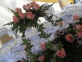 Dlc Catering & Event Services