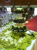 Dlc Catering & Event Services