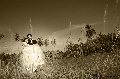 Jai Wedding Photography