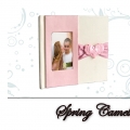 Spring Camellia Sdn Bhd