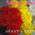 Bunga Tisu Dan Crepe