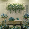 Florist D Azlea