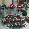 Florist D Azlea