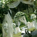 Wedding Decorator