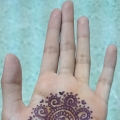 Purplezlilly Henna
