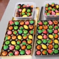 Johari Catering