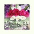 Nimi Projek (ipoh)