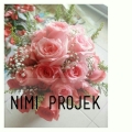 Nimi Projek (ipoh)