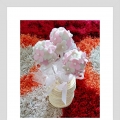 Customadebyme