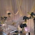 Nadia Darina Wedding 