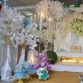 Surie Creative Wedding Planner