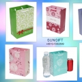 Sungift Paper Bags/goodies Bags