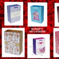 Sungift Paper Bags/goodies Bags