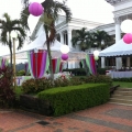Izzi Canopy 