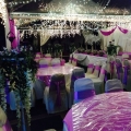 Izzi Canopy 
