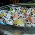 Bowlznbowlz
