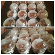 Bowlznbowlz