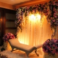 Elarry Creation