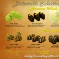 Thc Chocolate Sdn Bhd