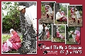 Ae Images