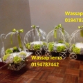 Sewa Dulang Hantaran Murah