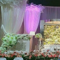Butik Qaseh Zaiella