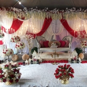 Lavender Seri Pengantin