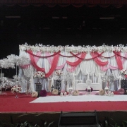Lavender Seri Pengantin