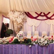 Lavender Seri Pengantin
