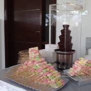 Candy Blossom Marketing