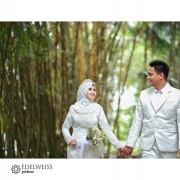 Edelweiss Picture