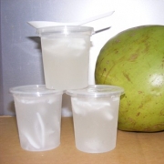 Tempahan Jeli Kelapa (cocunut Jelly)