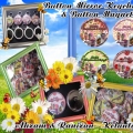 D One Creative & Collection